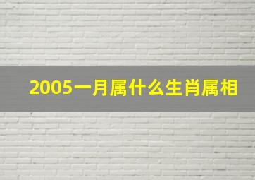 2005一月属什么生肖属相