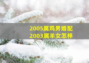 2005属鸡男婚配2003属羊女怎样