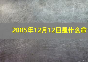 2005年12月12日是什么命