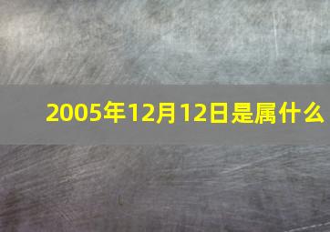 2005年12月12日是属什么