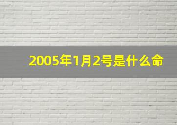 2005年1月2号是什么命