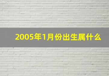 2005年1月份出生属什么