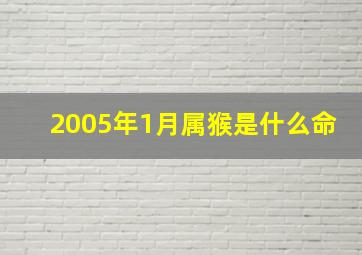 2005年1月属猴是什么命