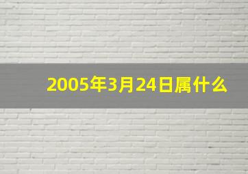 2005年3月24日属什么