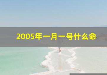 2005年一月一号什么命