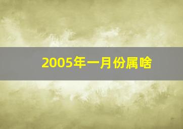 2005年一月份属啥