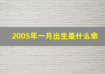 2005年一月出生是什么命