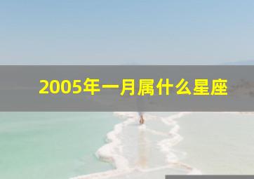 2005年一月属什么星座