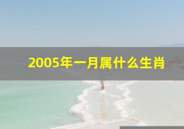 2005年一月属什么生肖