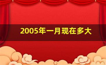 2005年一月现在多大