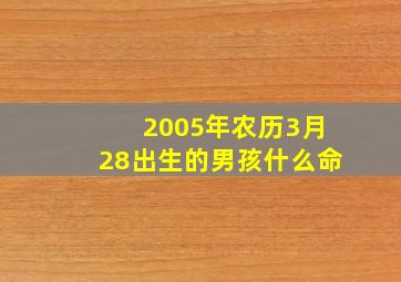 2005年农历3月28出生的男孩什么命