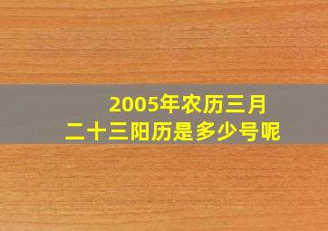 2005年农历三月二十三阳历是多少号呢