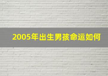 2005年出生男孩命运如何