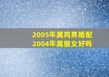 2005年属鸡男婚配2004年属猴女好吗