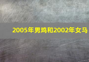 2005年男鸡和2002年女马