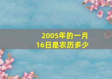 2005年的一月16日是农历多少