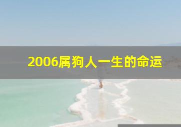 2006属狗人一生的命运