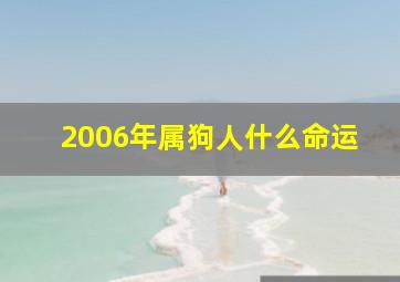 2006年属狗人什么命运