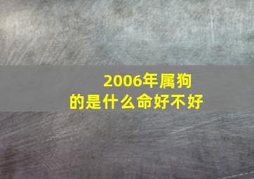 2006年属狗的是什么命好不好