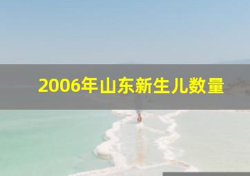 2006年山东新生儿数量