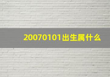 20070101出生属什么