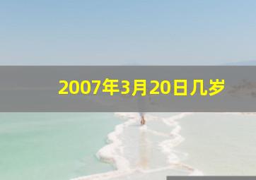 2007年3月20日几岁