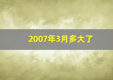 2007年3月多大了