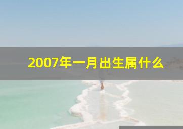 2007年一月出生属什么