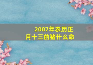 2007年农历正月十三的猪什么命