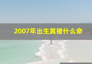 2007年出生属猪什么命