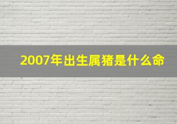 2007年出生属猪是什么命