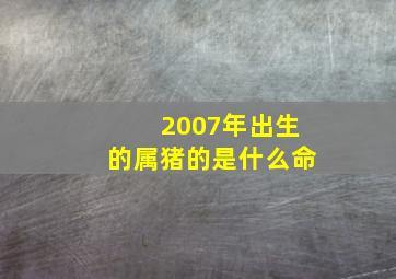 2007年出生的属猪的是什么命