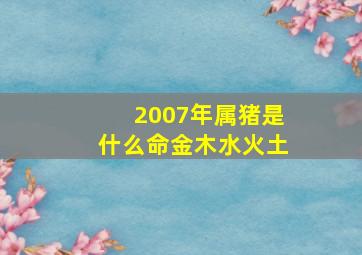 2007年属猪是什么命金木水火土