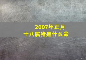 2007年正月十八属猪是什么命