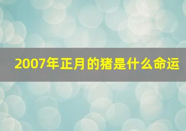 2007年正月的猪是什么命运