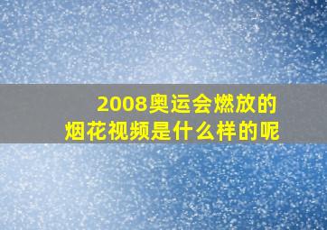 2008奥运会燃放的烟花视频是什么样的呢