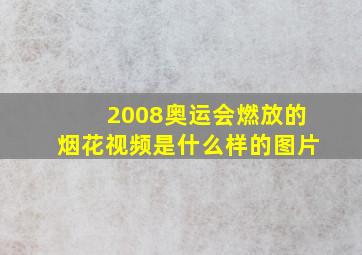 2008奥运会燃放的烟花视频是什么样的图片