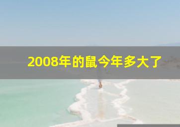 2008年的鼠今年多大了