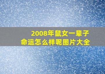 2008年鼠女一辈子命运怎么样呢图片大全