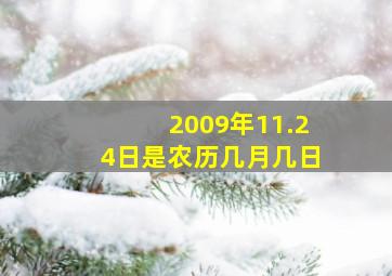 2009年11.24日是农历几月几日