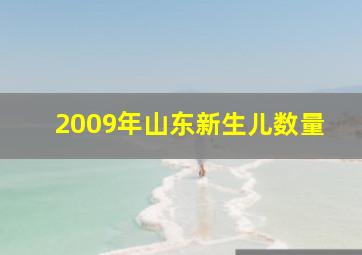 2009年山东新生儿数量