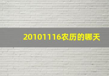 20101116农历的哪天