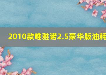 2010款唯雅诺2.5豪华版油耗