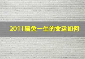 2011属兔一生的命运如何