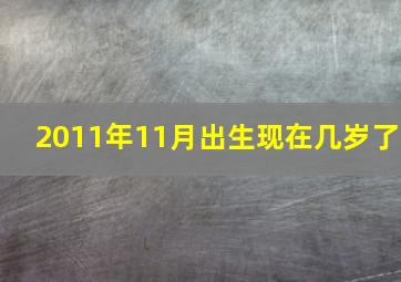 2011年11月出生现在几岁了