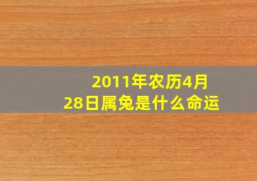 2011年农历4月28日属兔是什么命运