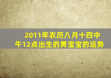 2011年农历八月十四中午12点出生的男宝宝的运势