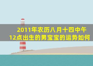 2011年农历八月十四中午12点出生的男宝宝的运势如何