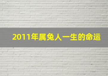 2011年属兔人一生的命运