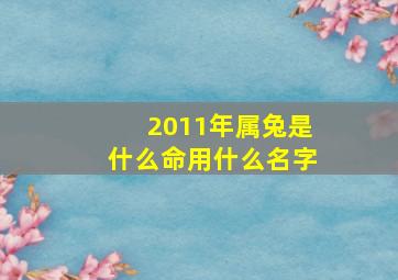 2011年属兔是什么命用什么名字